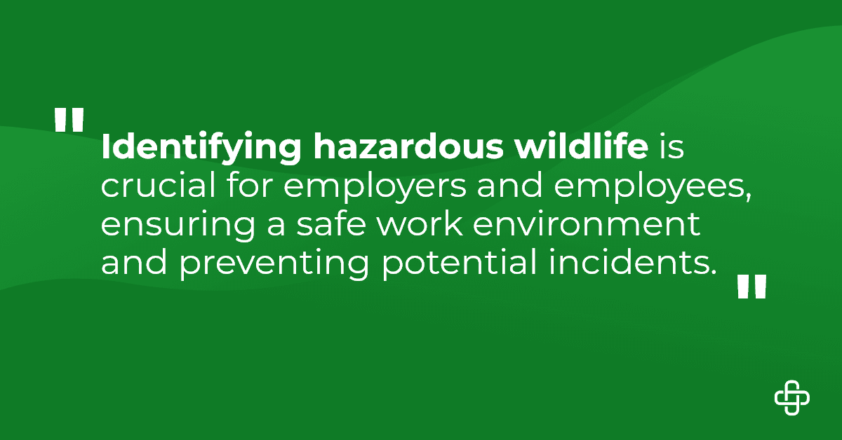 Safeguarding Your Workforce: Identifying Hazardous Wildlife